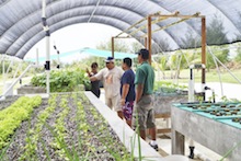 ATOLL graduates in Rota teaching aquaponics
